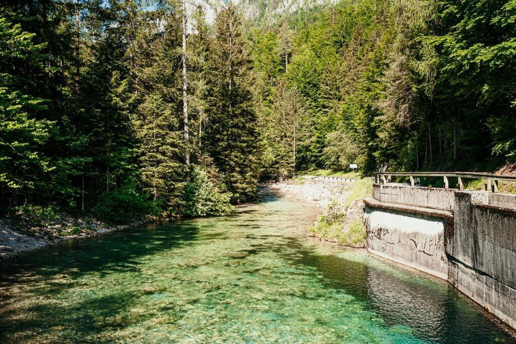 Idyllic Triglav Forest Retreat - Alps, Trails, Lakes, Falls モイストラナ エクステリア 写真